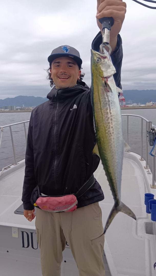 サゴシ(サワラ)