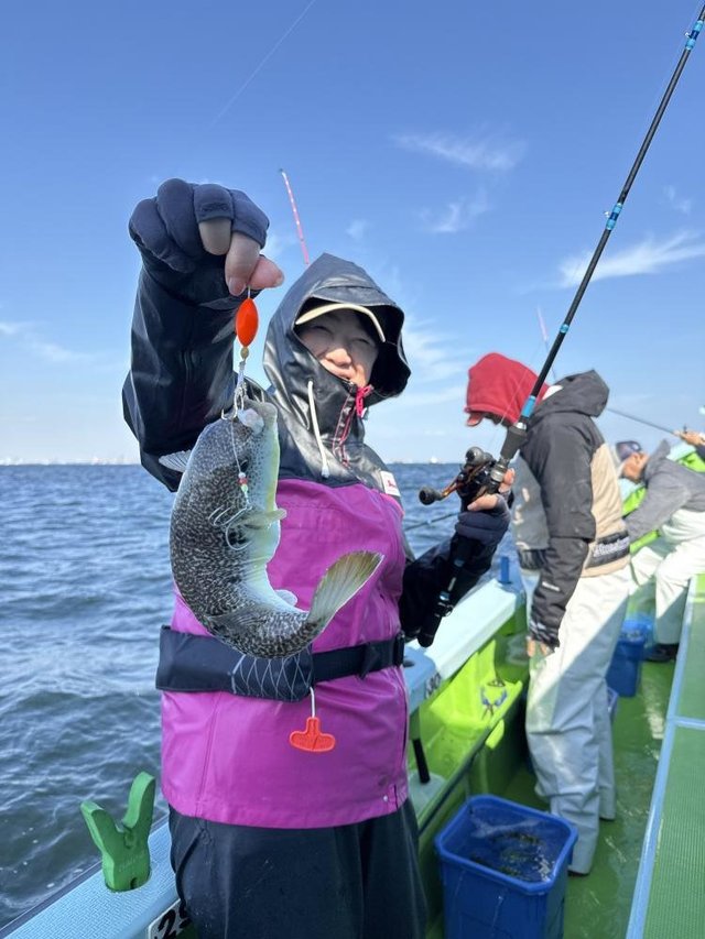 フグ(ショウサイフグ)