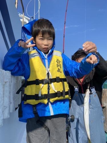 カマス(アカカマス)