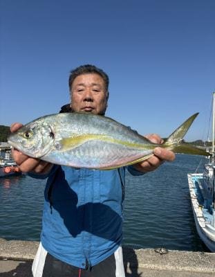 シマアジ