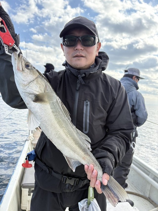 シーバス(スズキ)