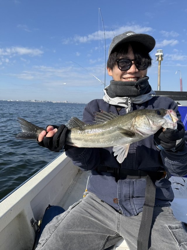 シーバス(スズキ)