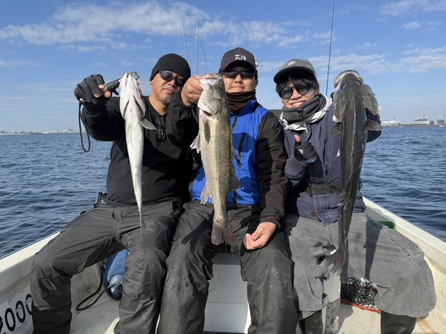 シーバス(スズキ)