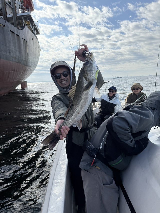 シーバス(スズキ)