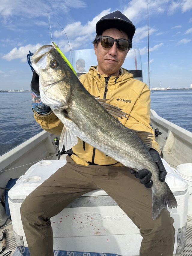 シーバス(スズキ)