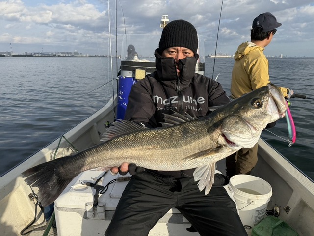 シーバス(スズキ)