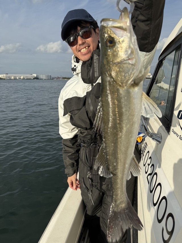 シーバス(スズキ)