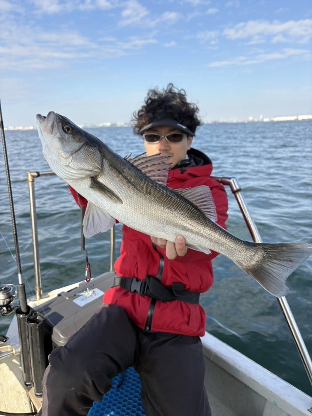 シーバス(スズキ)