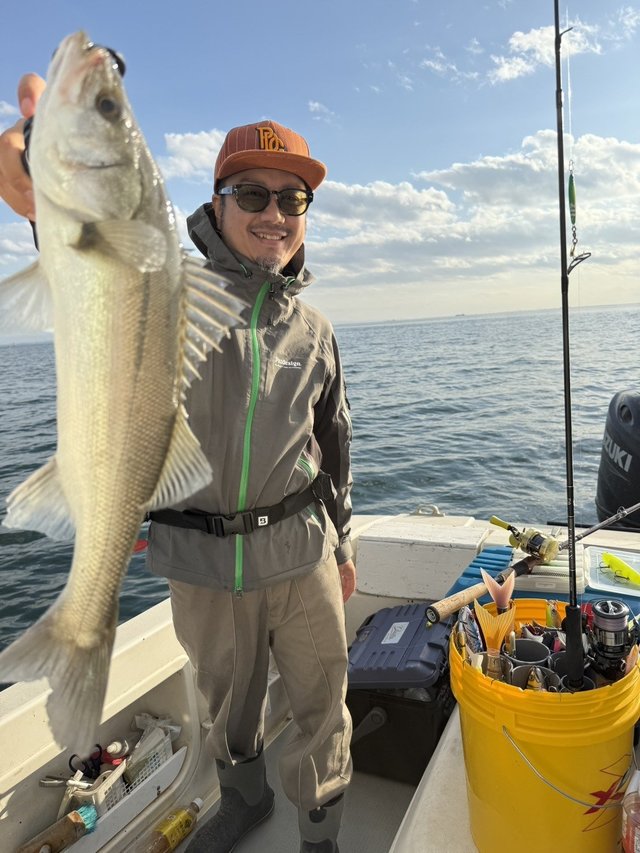 シーバス(スズキ)