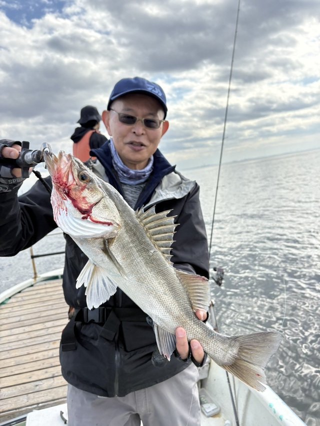 シーバス(スズキ)