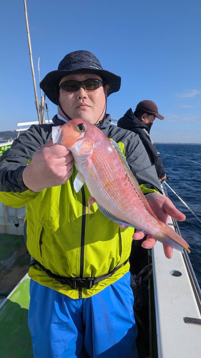 アマダイ(アカアマダイ)