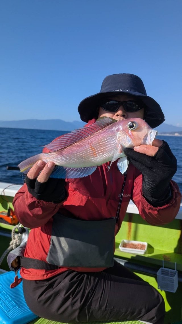 アマダイ(アカアマダイ)