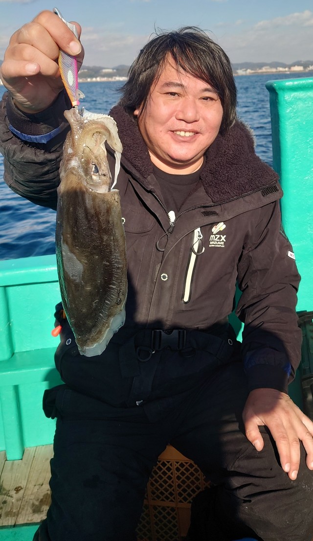 モンゴウイカ(カミナリイカ)