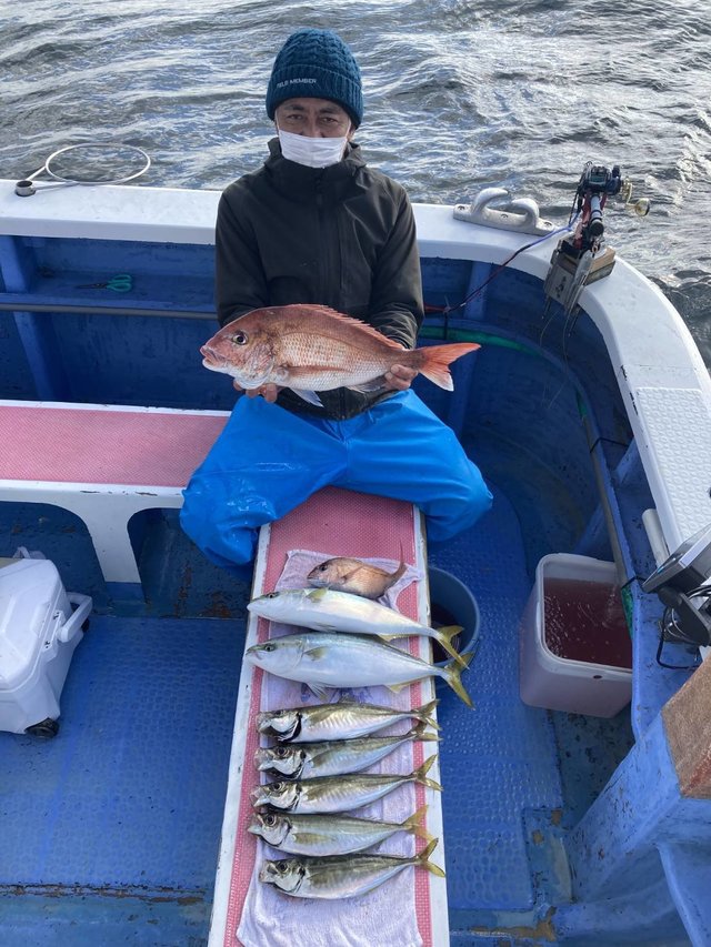 マダイ・イナダ(ブリ)