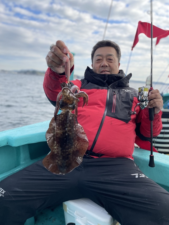 アオリ(アオリイカ)