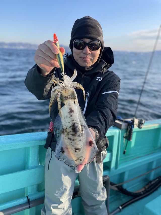 アオリ(アオリイカ)