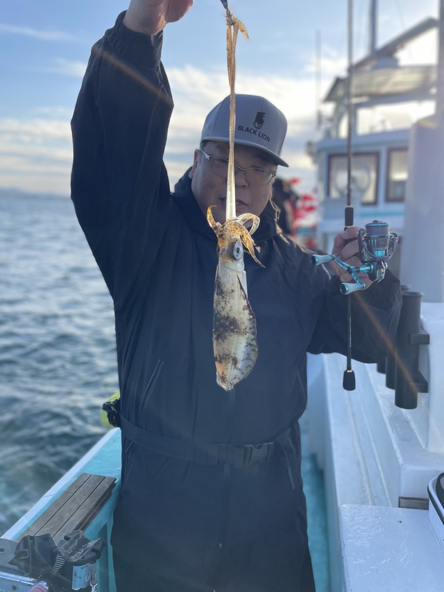 アオリ(アオリイカ)