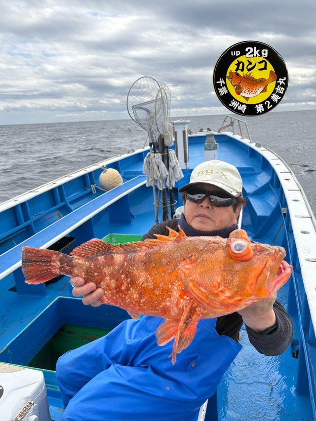 カンコ(ウッカリカサゴ)