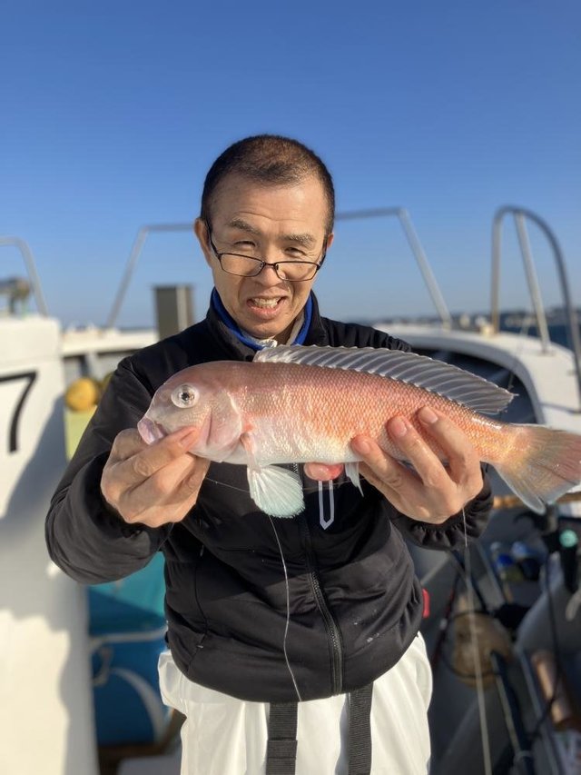 アマダイ(アカアマダイ)