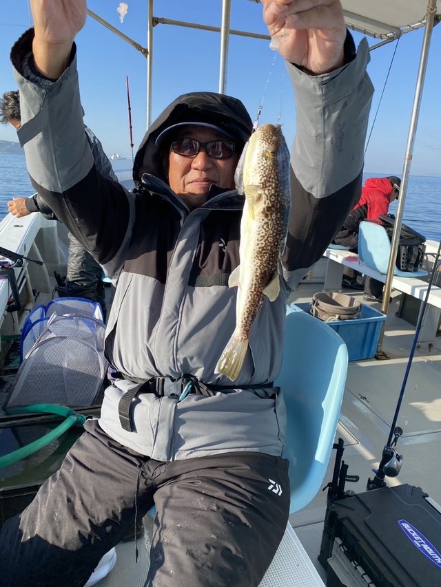 ショウサイフグ