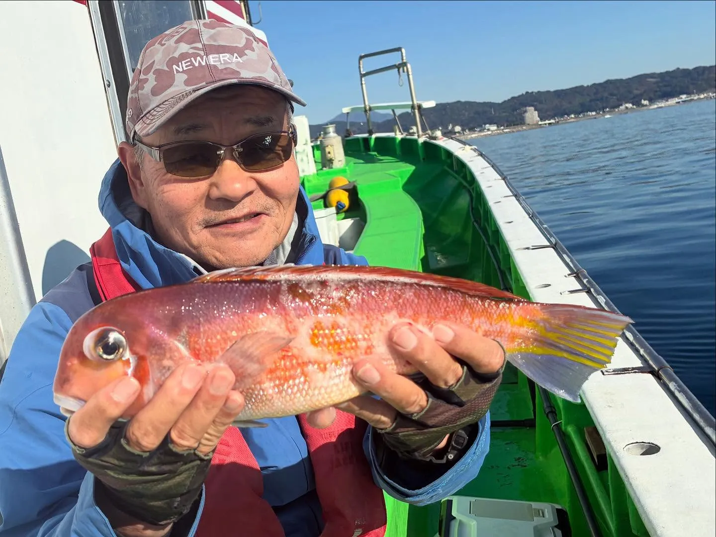 アマダイ(アカアマダイ)