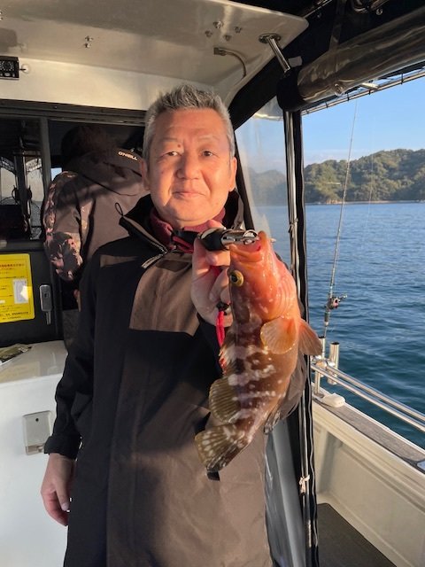 アコウ(キジハタ)