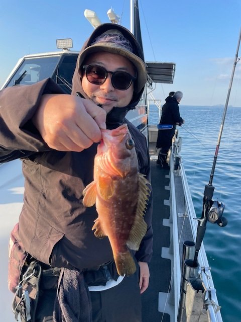 アコウ(キジハタ)