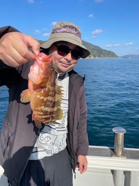 アコウ(キジハタ)