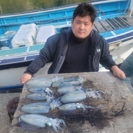 アオリ(アオリイカ)