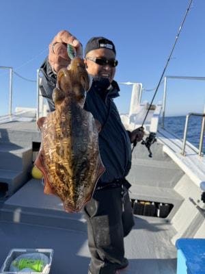 モンゴウイカ(カミナリイカ)