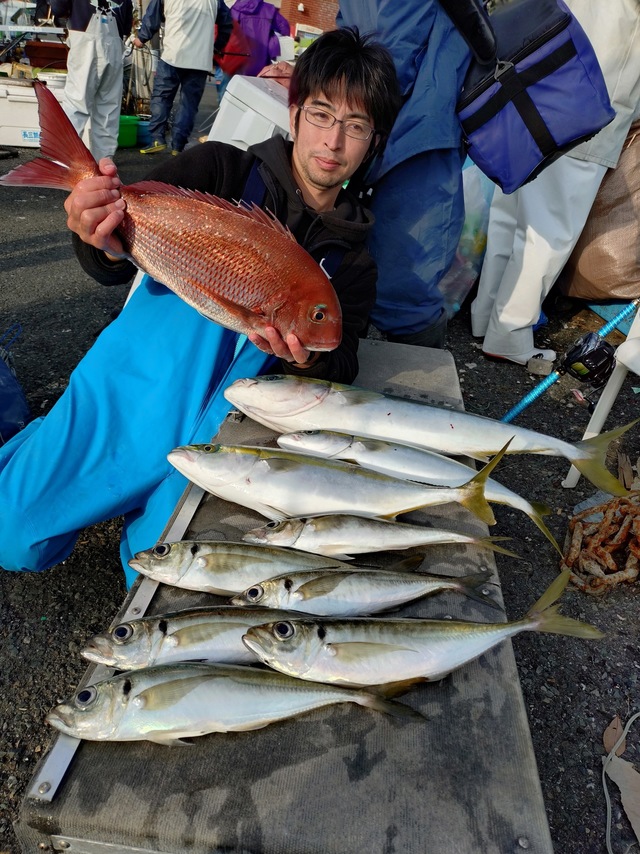 マダイ・アジ(マアジ)・イナダ(ブリ)