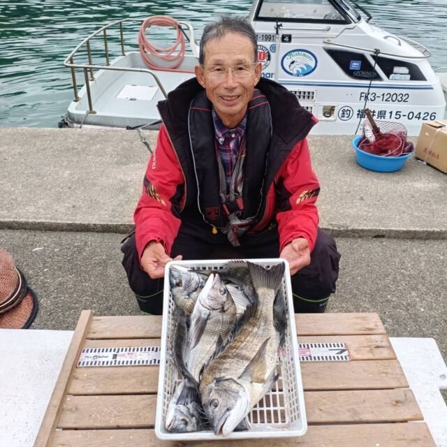 チヌ(クロダイ)