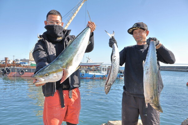 ブリ・サゴシ(サワラ)