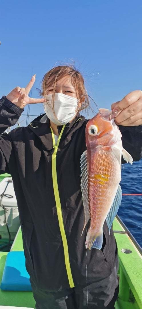 アマダイ(アカアマダイ)