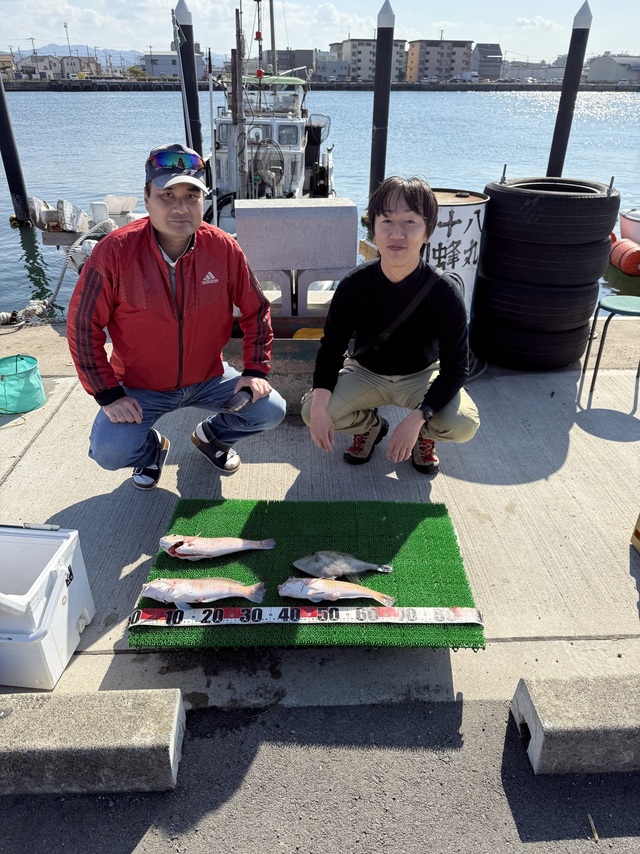 シロアマダイ・ウマヅラ(ウマヅラハギ)