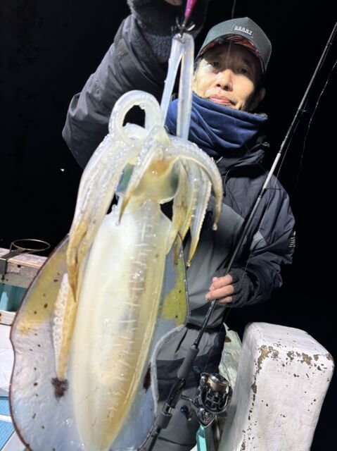 アオリ(アオリイカ)