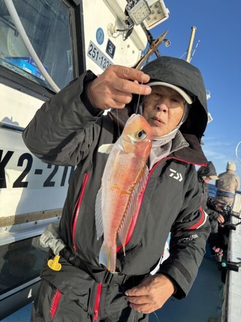 アマダイ(アカアマダイ)