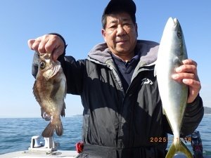 ハマチ(ブリ)・メバル