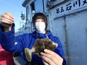 カワハギ