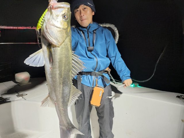 シーバス(スズキ)