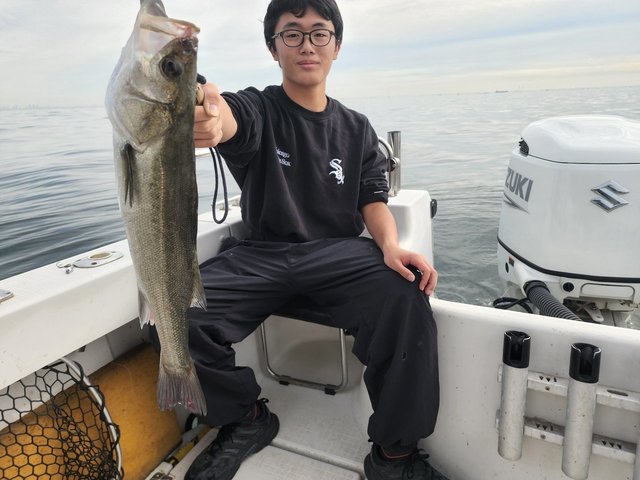 シーバス(スズキ)