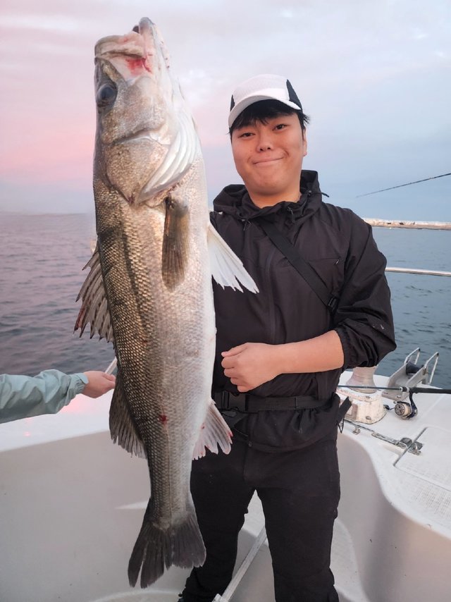 シーバス(スズキ)