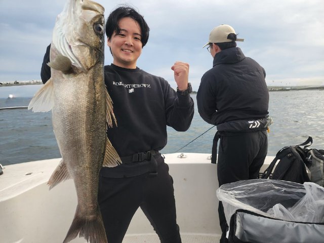 シーバス(スズキ)