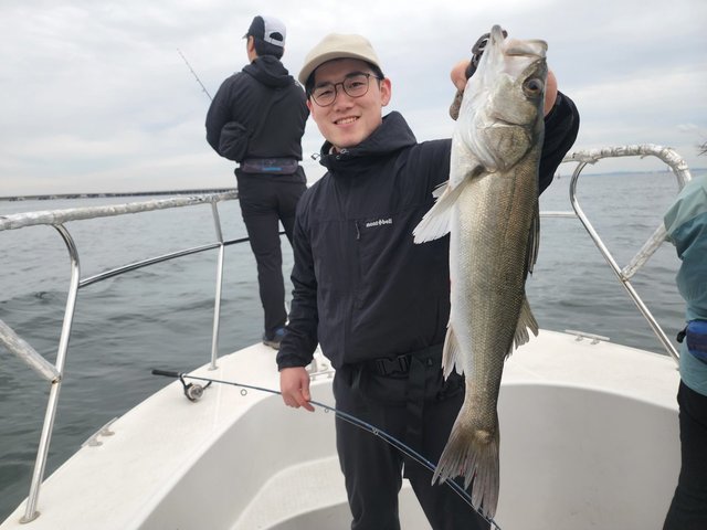 シーバス(スズキ)