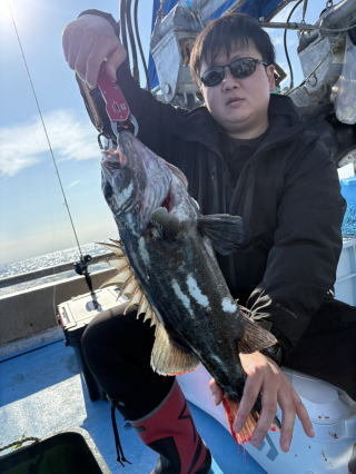 イシナギ(オオクチイシナギ)