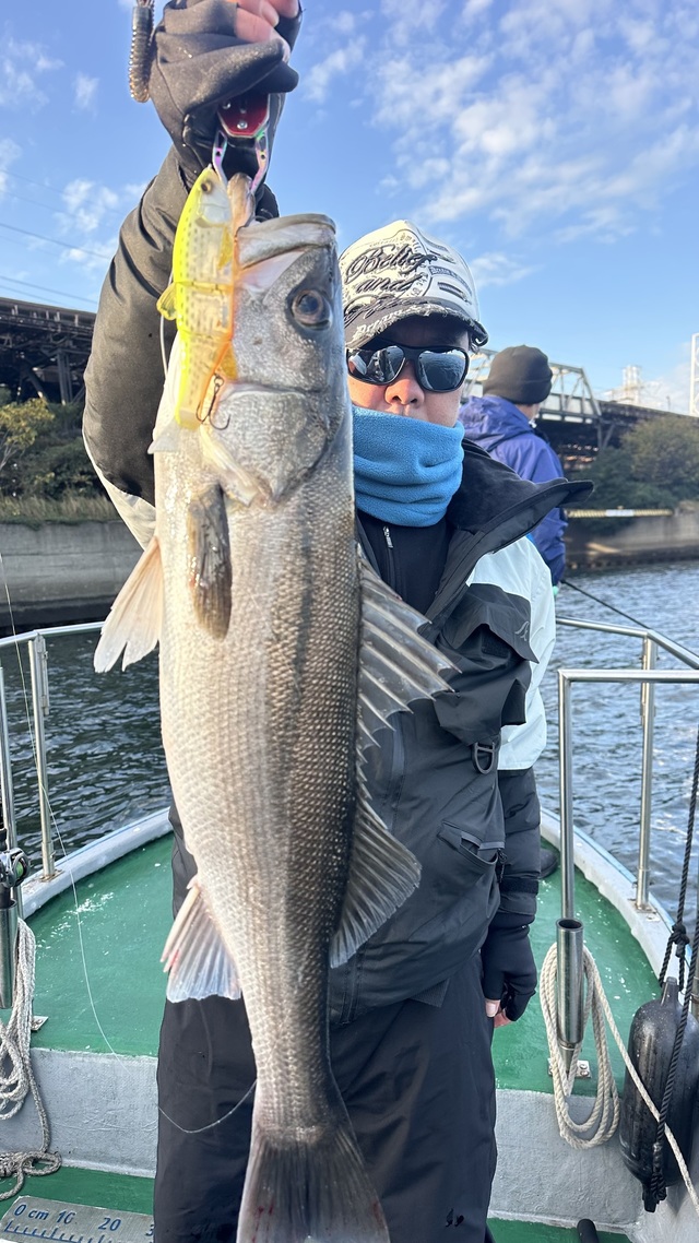 シーバス(スズキ)