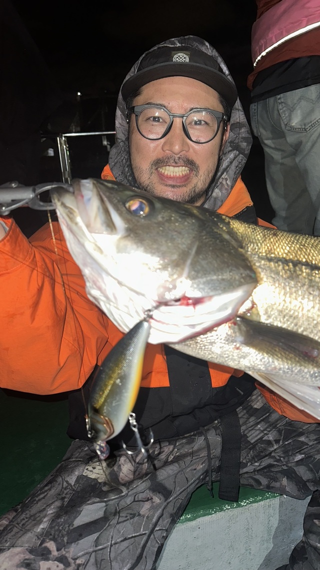 シーバス(スズキ)