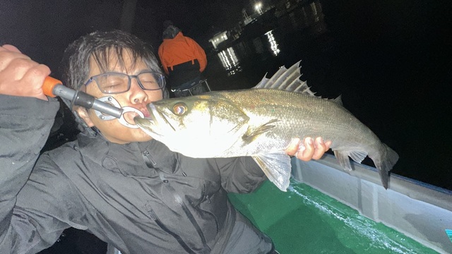 シーバス(スズキ)