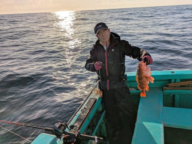 ウッカリカサゴ