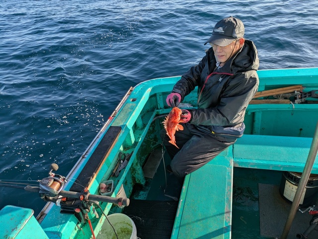 オニカサゴ(イズカサゴ)